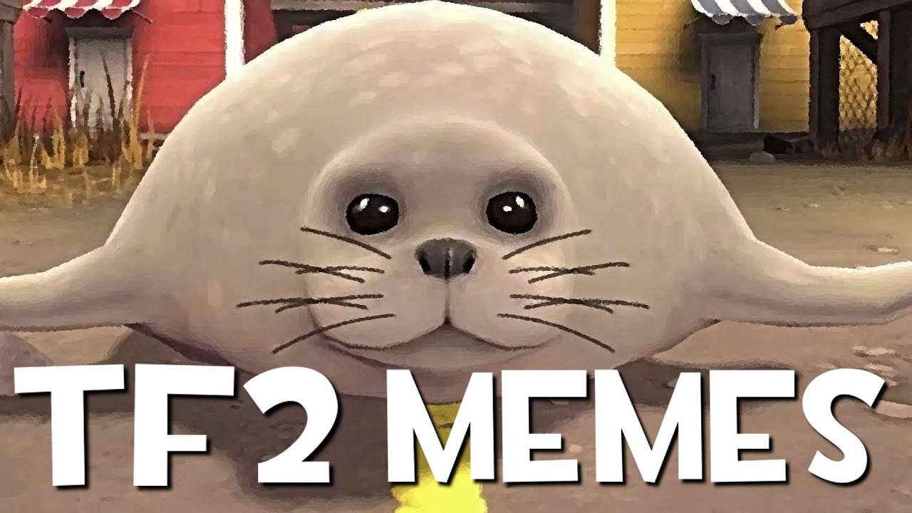 tf2 memes i stole from discord #8 The Finale
