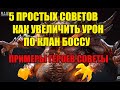 5 советов как увеличить урон по Клан боссу в Raid