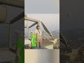 اختراع الكرنب
