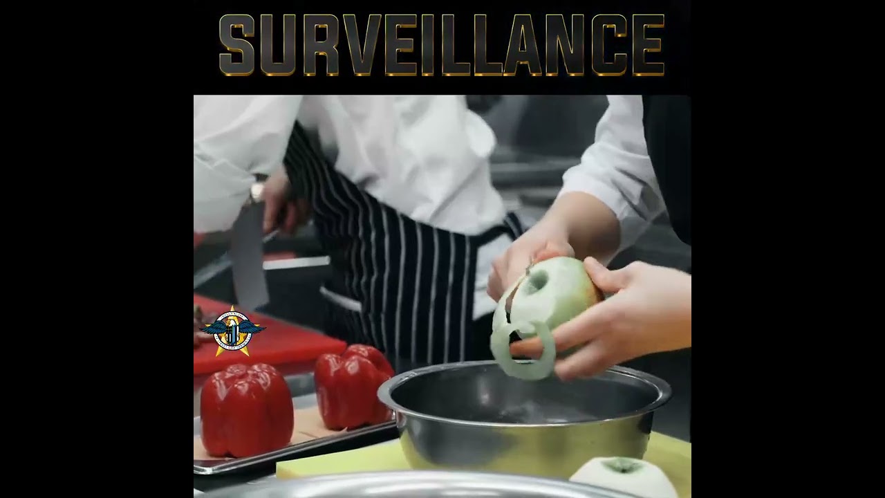 SURVEILLANCE || By: Brad Gilmore