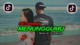 DJ VIRAL MENUNGGUMU [ PETERPAN ] Remix by DJ dehas