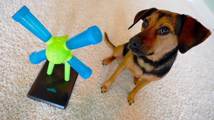 Interactive Mental Stimulation Dog Toys– Puzzles for Pups