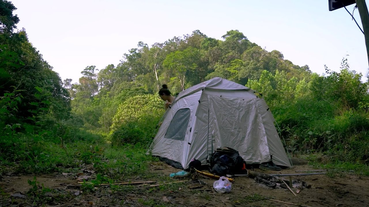Girl Solo Bushcraft Camping Alone in the Forest WITH MY DOG – Relaxing ...