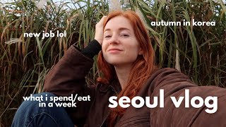 🇰🇷 how much i spend and eat in a week in seoul, korea 🍜 cooking at home, a newish job, autumn vlog