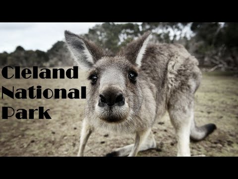 Cleland National Park