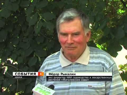 Купить Участок В Жигулевских Садах Самара