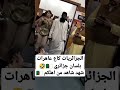 جزائري يعترف ان الجزائرية كلهم قحبة منيوكة  mp3