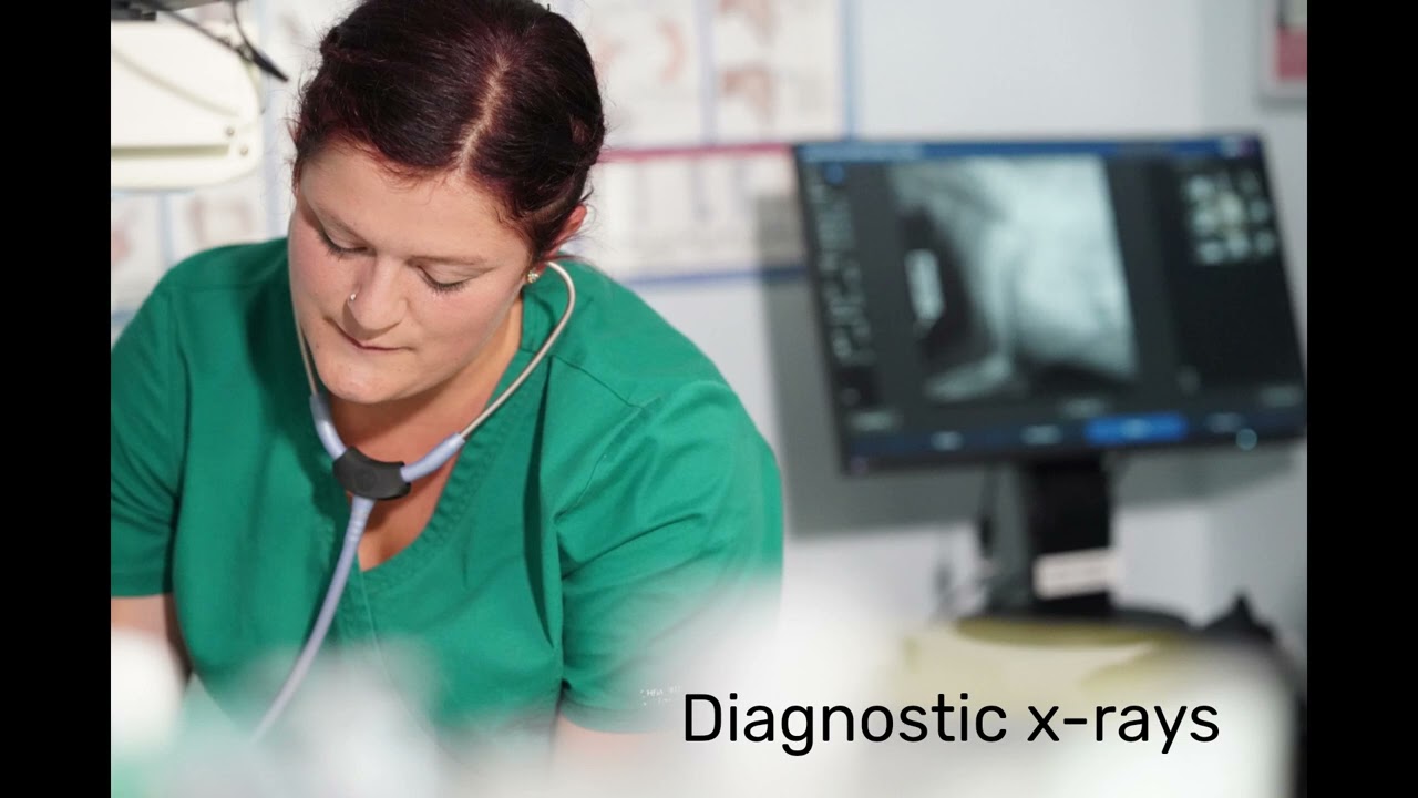 RVN Awareness Week - May 2024