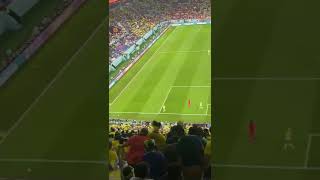 مباراة البرازيل وكوريا الجنوبية من قلب لملعب