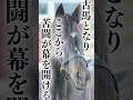 日本競馬史上最高の個性派！愛さずにはいられない小さな英雄　#shorts #競馬 #ステイゴールド