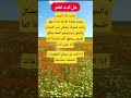 هل كنت تعلم ستوريات انسا حلات وتس اب أقوال توماس قصص واقعية حقائق ومعلومات  ستوريات ـ ادولف
