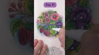 Day 21: Derwent Inktense Hack – Using Alcohol instead of Water! - 30 Days of Creativity