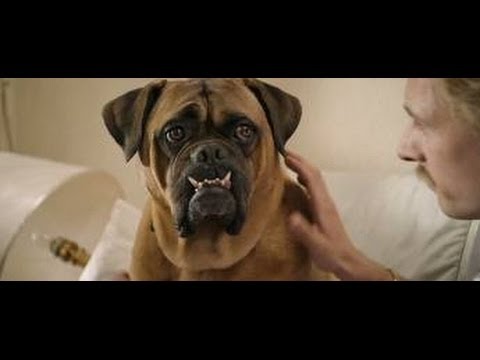 Gradje das godverdomme een lieve hond!