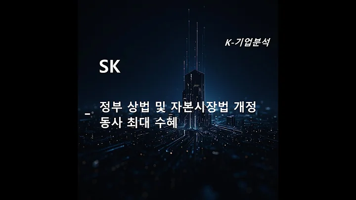 Sk - 이재명 정부 상법 및 자본시장법 개정 동사 최대 수혜