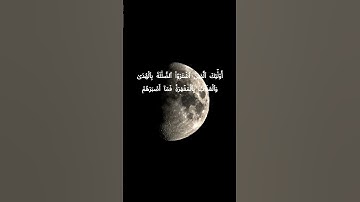 #سورة_البقرة #تلاوة_سورة_البقرة #راحة_نفسية #سورة_البقرة_كاملة #لايك #قراءه_سورة_البقرة #اكسبلور