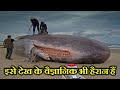 समुंद्री जीव इतने खतरनाक क्यों होते हैं ? Why are sea creatures so dangerous?