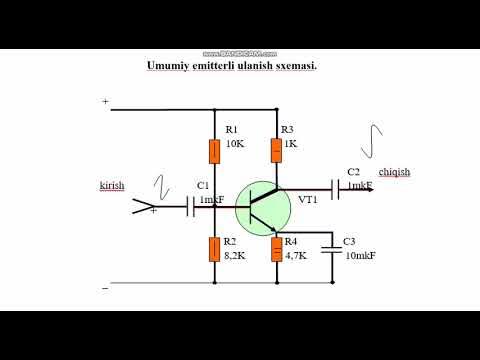 Порно құл әйелдер