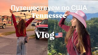 картинка: Vlog: Жизнь студентки по обмену 🇺🇸| Tennessee | Exchange student in America 