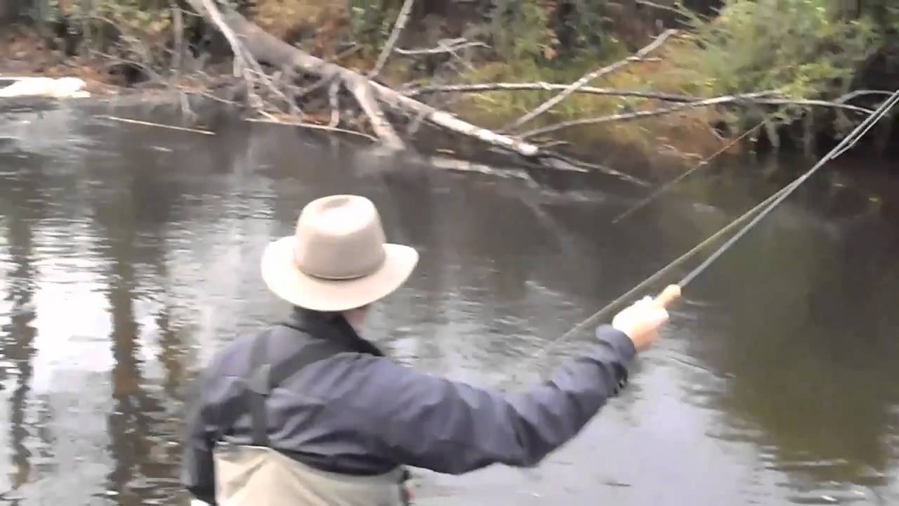 Fly Fishing North Georgia Part 2 - YouTube