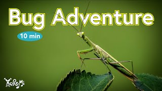 Bug Mini Adventure | Kids Yoga, Music and Mindfulness with Yo Re Mi