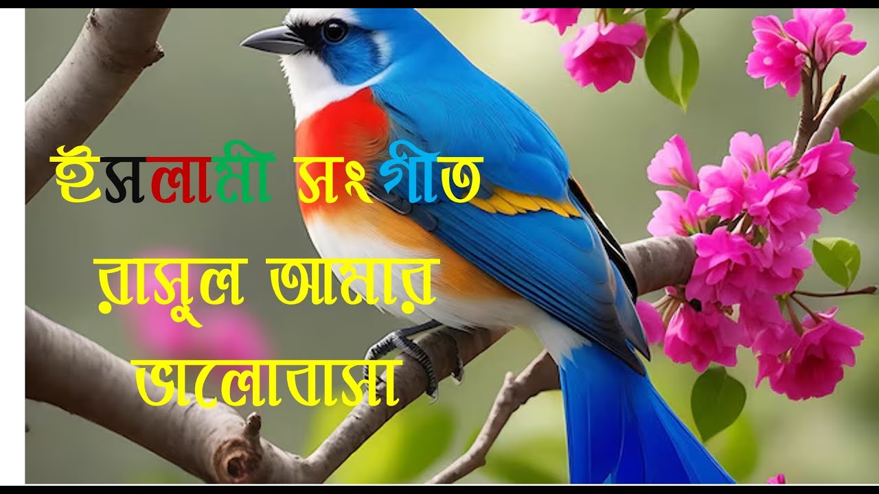 Amar Rasul rasul amar valobasa new islamic ghazal islamic lyrics - YouTube