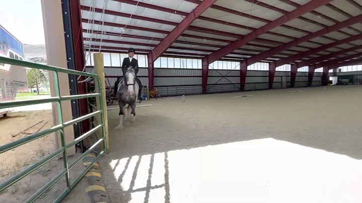 Wild Rose Ghosts Freedom & Tracey Osborne Training 1