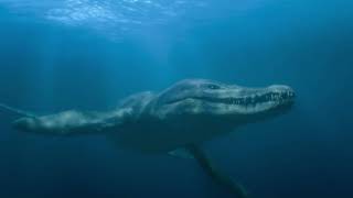 Pliosaur and Turtles Life on our Planet