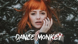 Video thumbnail of "Alan walker Style -  DANCE MONKEY"
