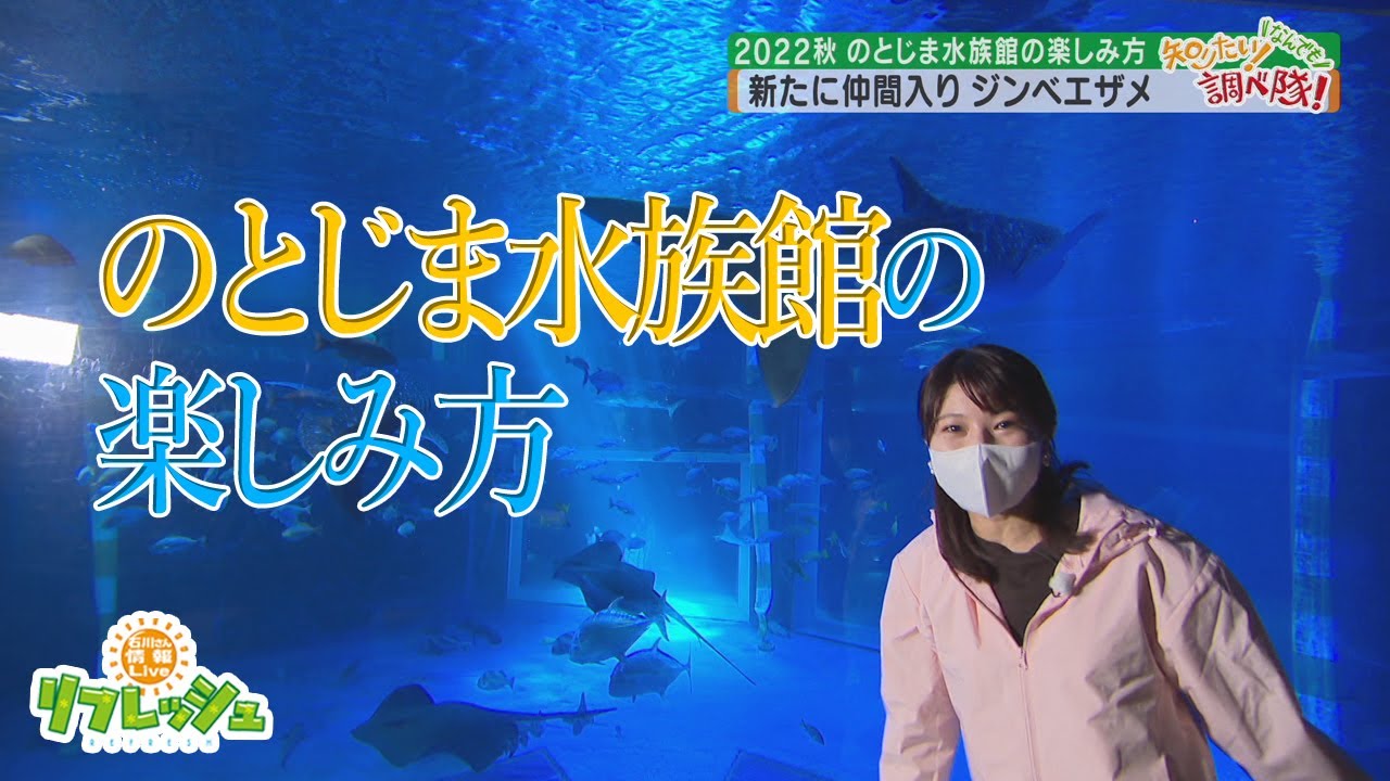 2022秋 のとじま水族館の楽しみ方（調べ隊）