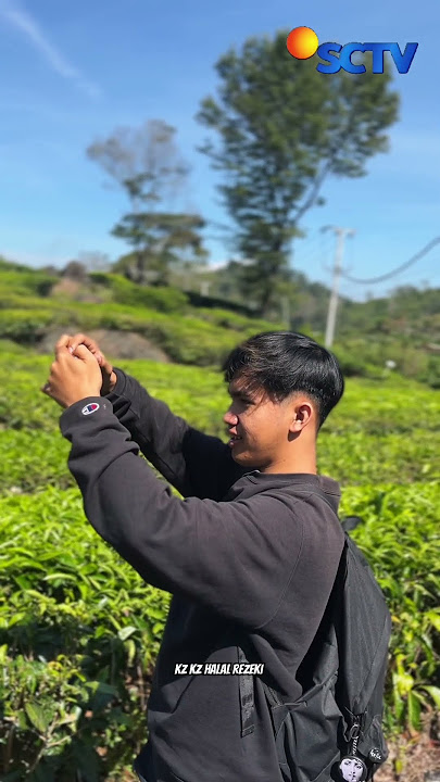 Cintaku berawal dari kebun teh. #barudakmaster #fyp #viral #shorts #sinetron #sctv #ciwidey #reels