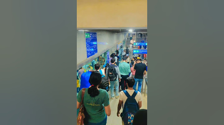 The Most Viral Travel Moments of All Time