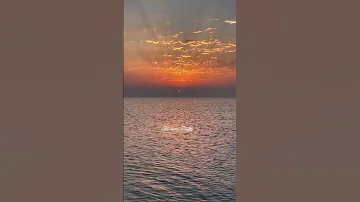 لسه بدارى و ده حالى و مش هغير فيه محمد سعيد 