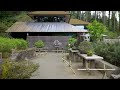 Bonsai at the portland japanese garden