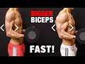 How to Get Bigger Biceps Fast (JUST DO THIS!)