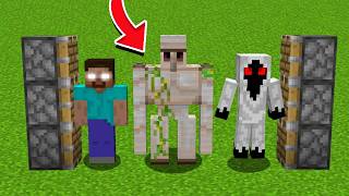 ENTITY 303 + HEROBRINE + EISENGOLEM = ???