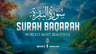 Surah Al-Baqarah سورة البقره Full Majestic & Peaceful Recitation in a Beautiful Voice | WQ