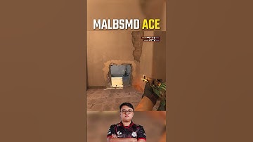 malbsMd ACE