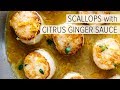 SCALLOPS with CITRUS GINGER SAUCE | how to cook scallops