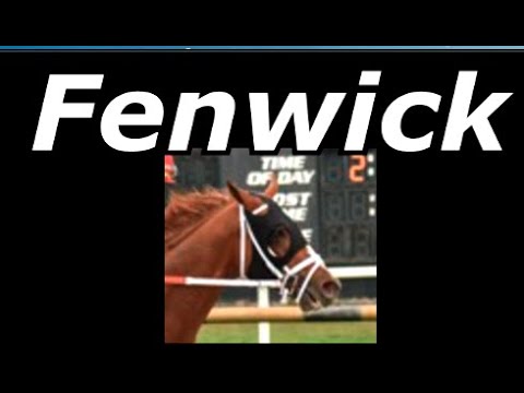 FENWICK All Career Starts In 9 Min. Preakness Contender
