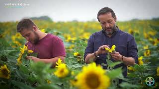 Impulso Bayer Venha Fazer Parte Do Maior Programa Do Agro Brasileiro