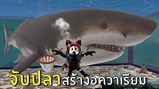 จับปลาสร้างอควาเรียม | Roblox