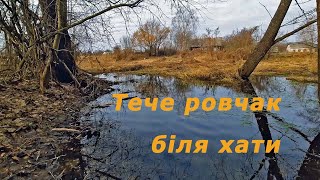 Тече ровчак через ліс. Rovchak flows through the forest.