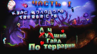 Курс Молодого Terrariста | Лучший Гайд По Террарии | Часть 1 |