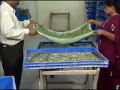 Silkworm Rearing-2