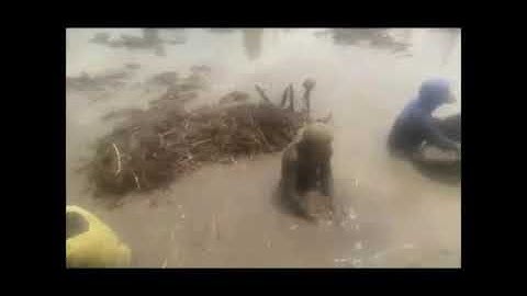 detik detik warga Berburu harta karun Kerajaan Sriwijaya