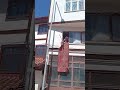 #Kastamonu Ilgaz Taşköprü sarımsağı keşfet #ytdayibenionecikarnolur