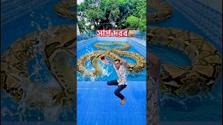 Big Snake in swimming pool (part2) #seeu #funny #video #comedy #video #foryou #ytshorts