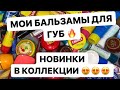 МОИ БАЛЬЗАМЫ ДЛЯ ГУБ 🔥 НОВИНКИ В КОЛЛЕКЦИИ 😍