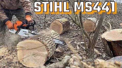 STIHL MS441C-M MAGNUM BEAST OF A CHAINSAW