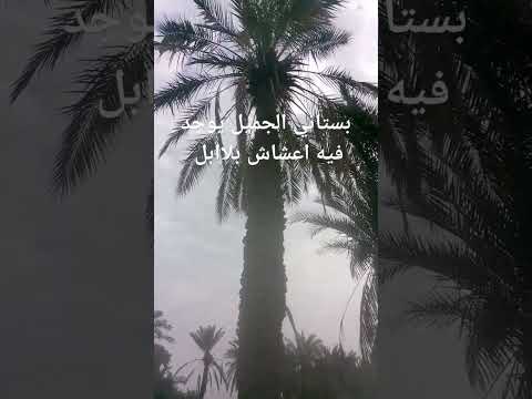 بوستاني
